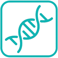DNA