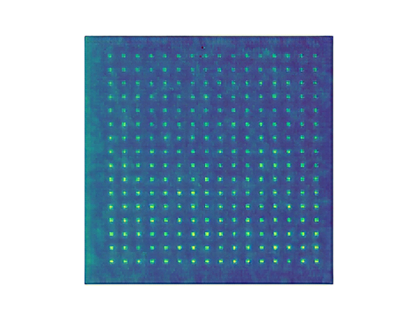 Atoms are arranged in a 16x16 grid array.